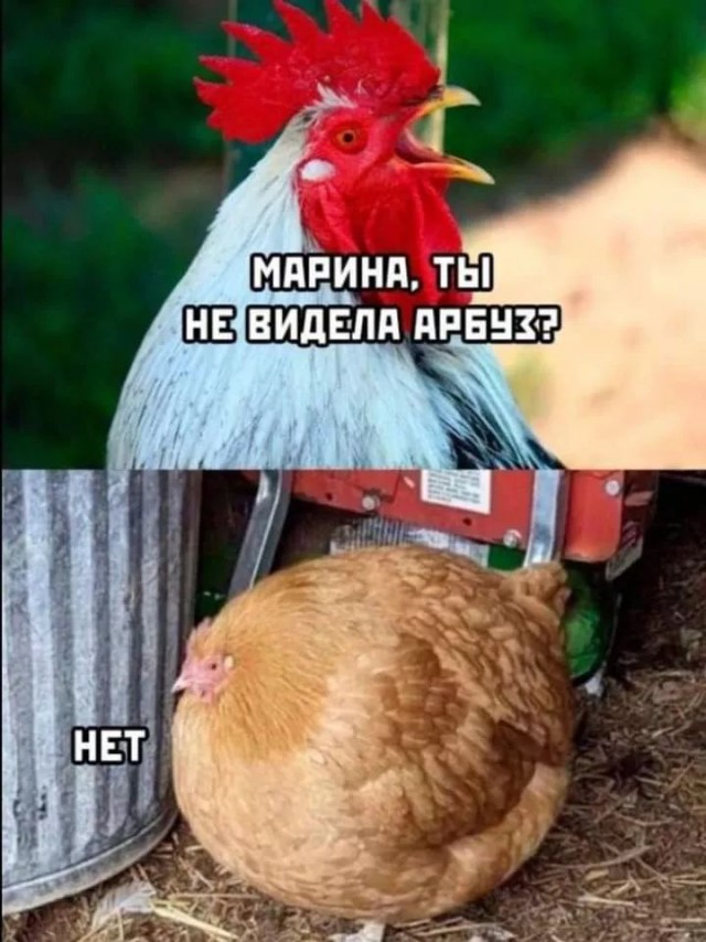 Завалялось тут случайно немного забавных картинок
