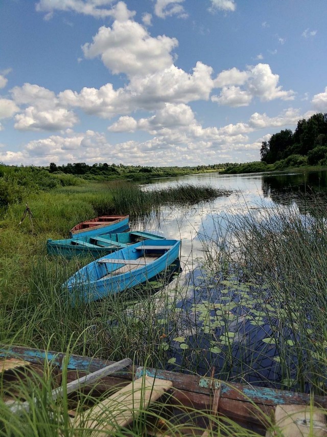 Скоро кончится лето. Это…