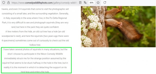 Объявлены финалисты конкурса самых забавных фотографий животных Comedy Wildlife Photography Awards 2024