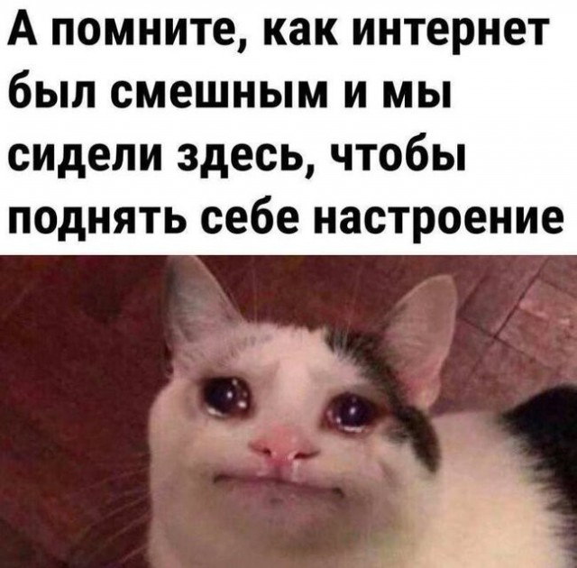 Так себе картинки