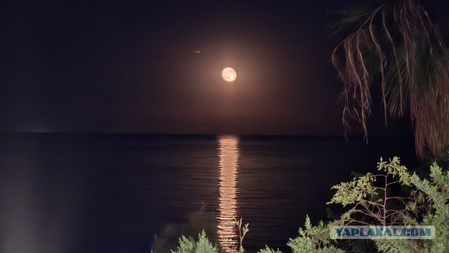 Моя идеальная фотография