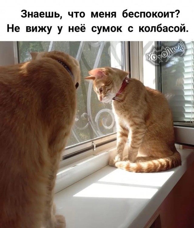 Завалялось тут случайно немного забавных картинок