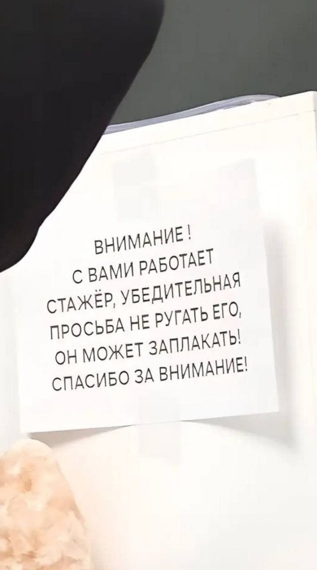Оберегаем молодое поколение от суровой офисной реальности.