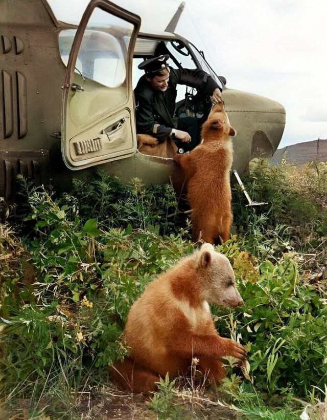 Back in USSR (10.04)