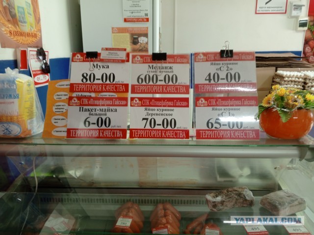 «Продукты официально подорожали на 12%, а реально — на 30». Россияне ждут аномального роста цен и экономят на еде