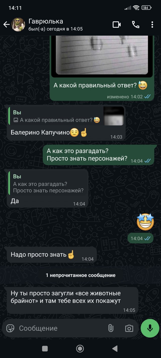 Весёлый полтишок 06.06.25