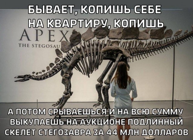Веселое настроение в картинках (31.07.2025)