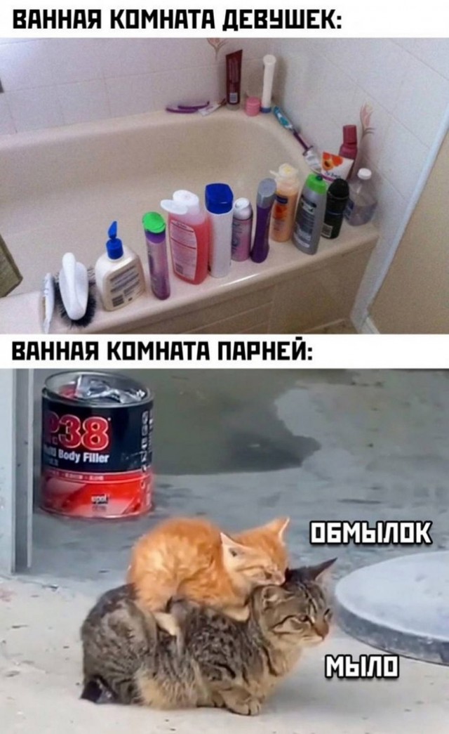 Веселые картинки в понедельник (13.10)