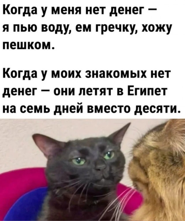Субботние картинки