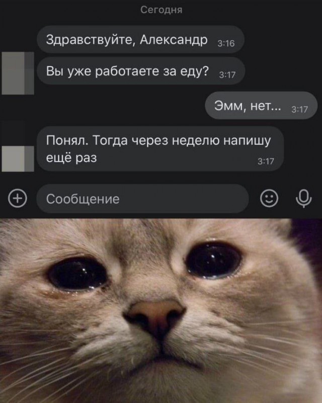 Картинки для деградации 159 (разной степени свежести)