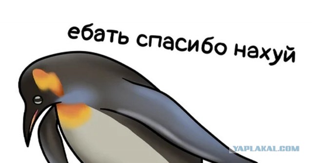 В целях повышения настроения жителей столицы в Московском метрополитене были добавлены юмористические подписи к названиям станций