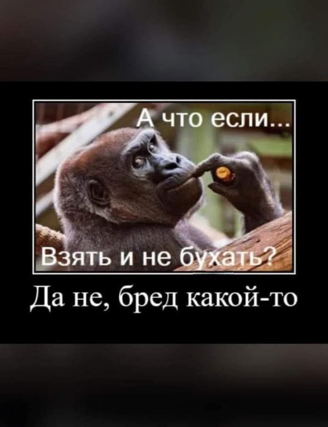 Причина, из за которой я бросил