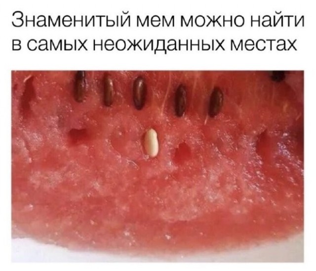 Картинки для деградации 207 (разной степени свежести)