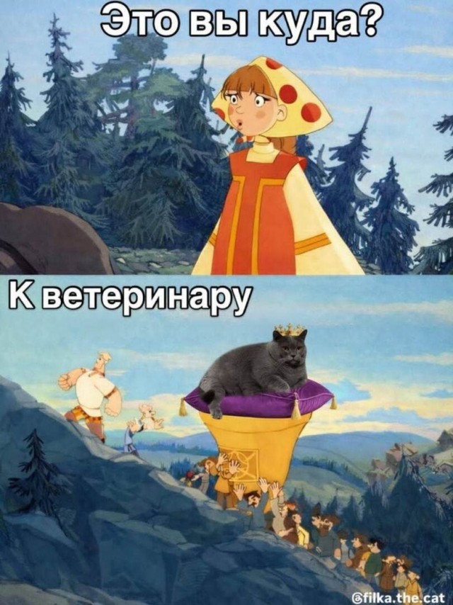 Картинки для деградации 240 (разной степени свежести)