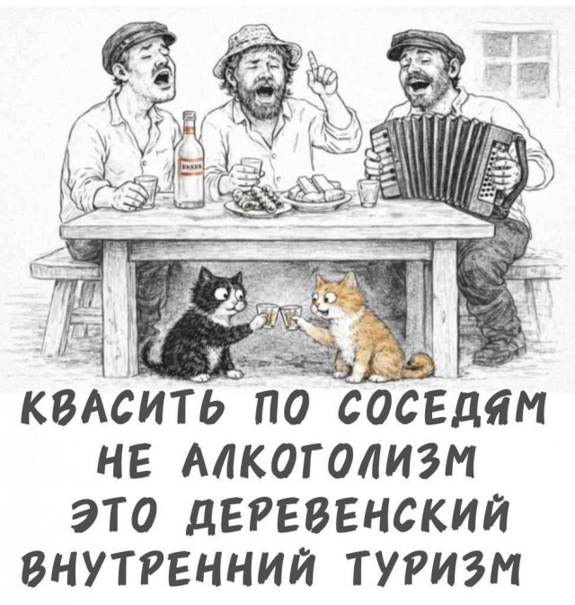 Прикольные и просто красивые картинки 14.08.2026