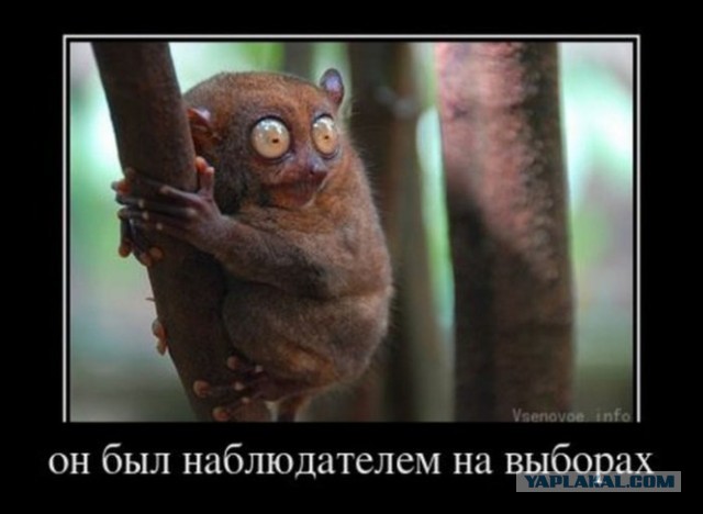 Риддик — конкурс!