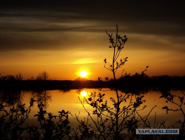 Красота природы не зависит от....