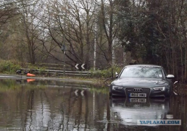 Брошенный Audi RS5. Продолжение истории