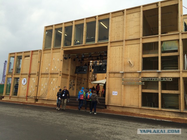 Два дня на Олимпиаде