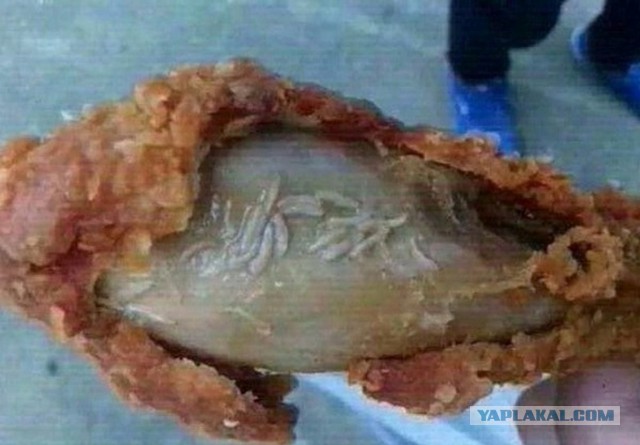 Личинки в KFC