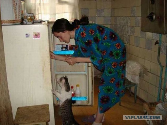 Веселые картинки