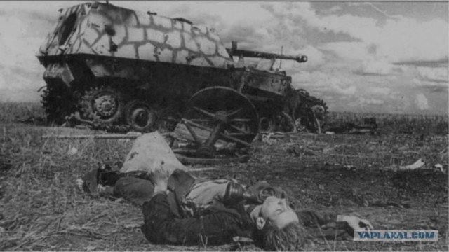 Лето 1941 года.