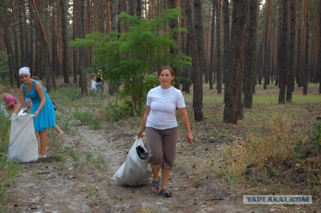 История одного чистого леса под Харьковом