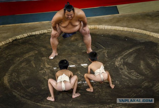 Веселые картинки