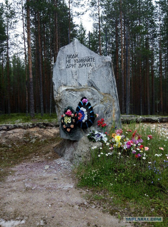 Сезон 2015 в Карелии