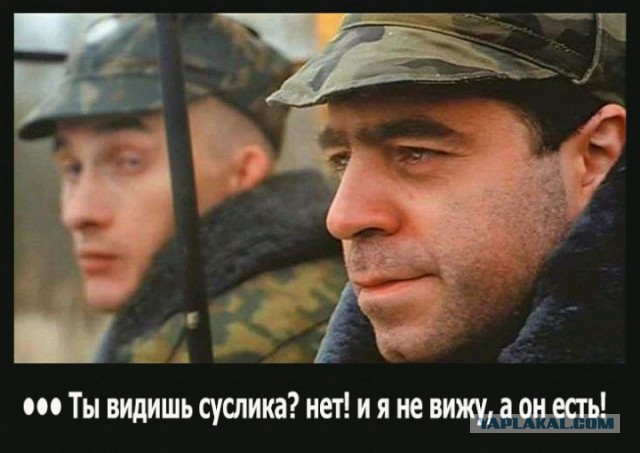 РТ тролит англичан, ищущих российскую подводную