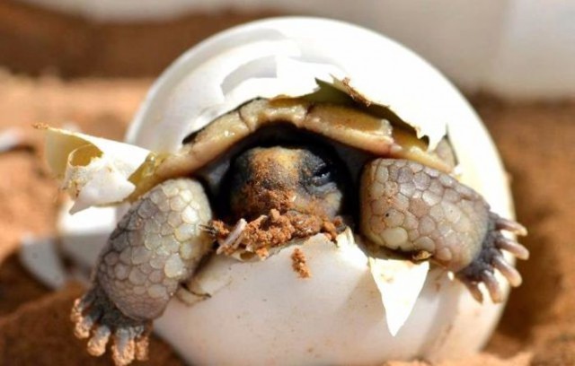 Вот так бывает за секунду до …