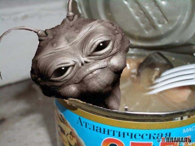 Вот такая нынче селёдочка