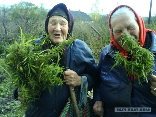 Генетическая память или я когда то жила?