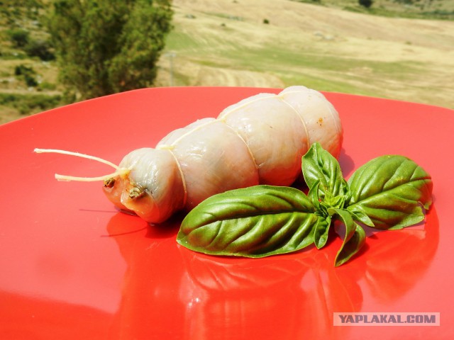 Еще одна курица (18+)