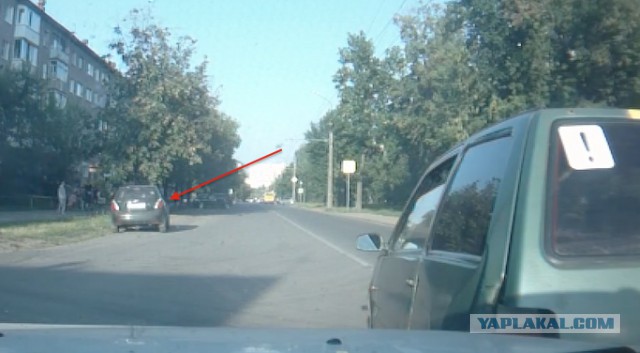 Солнышко и поворотник