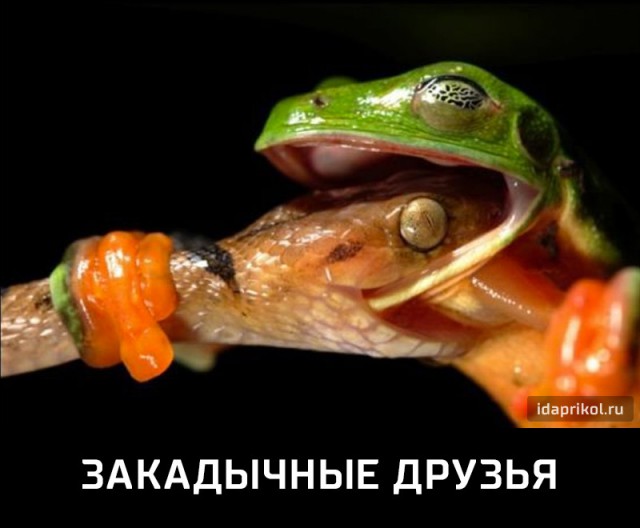 Смешные картинки из сети на 21.10.16