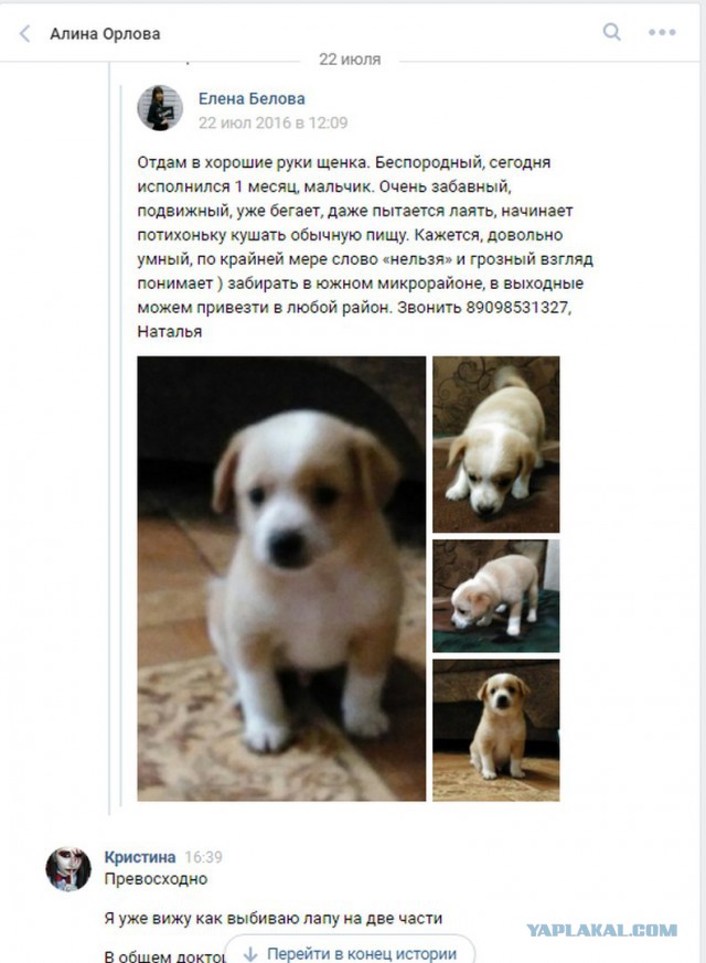 Живодерки из Хабаровска