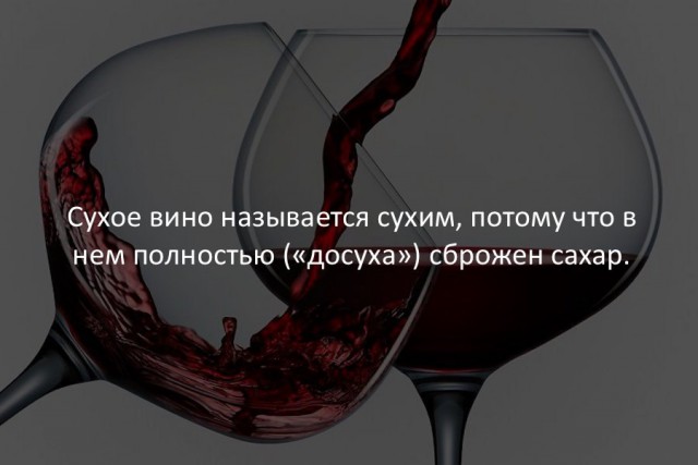 40 интересных фактов в картинках.
