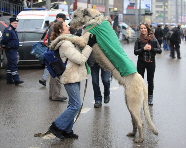 Подборка JPG & GIF