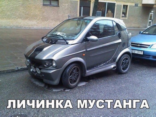 Подборка интересных и веселых картинок