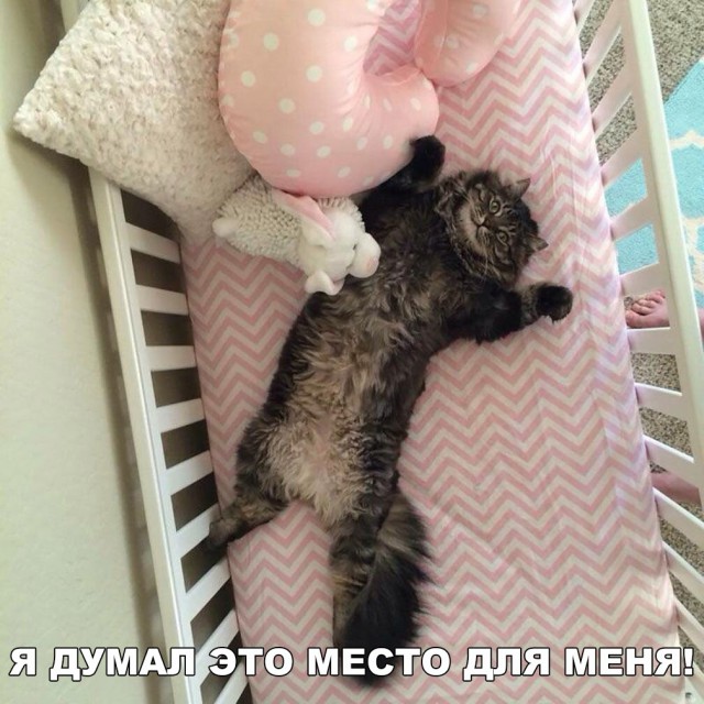 Немного милоты