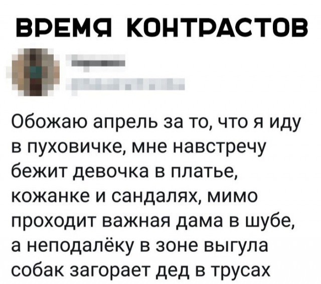 Немного картинок для настроения