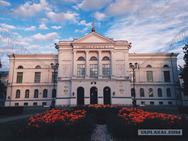 В трех соснах))