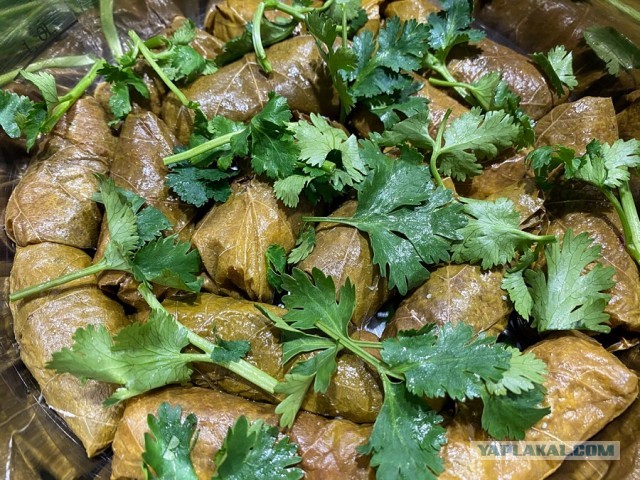 Долма с грибами