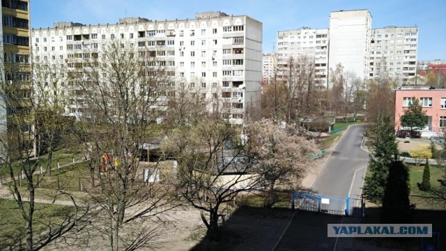 А что у вас сейчас за окном?