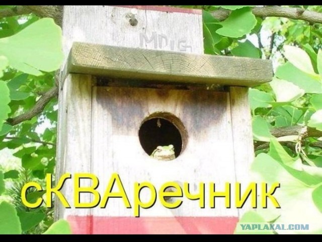 Что говорят мужчины о пышных женщинах