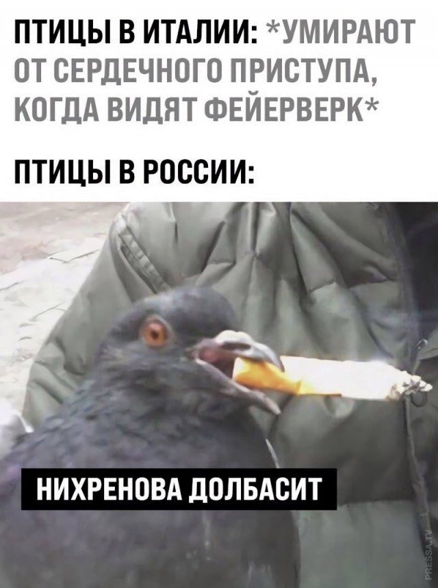 Картинки и мемы для настроения 005