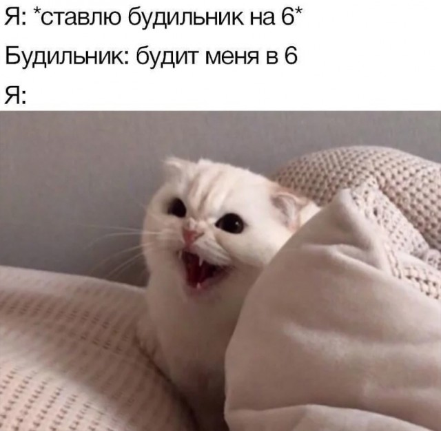 Так себе картинки 07.10.21