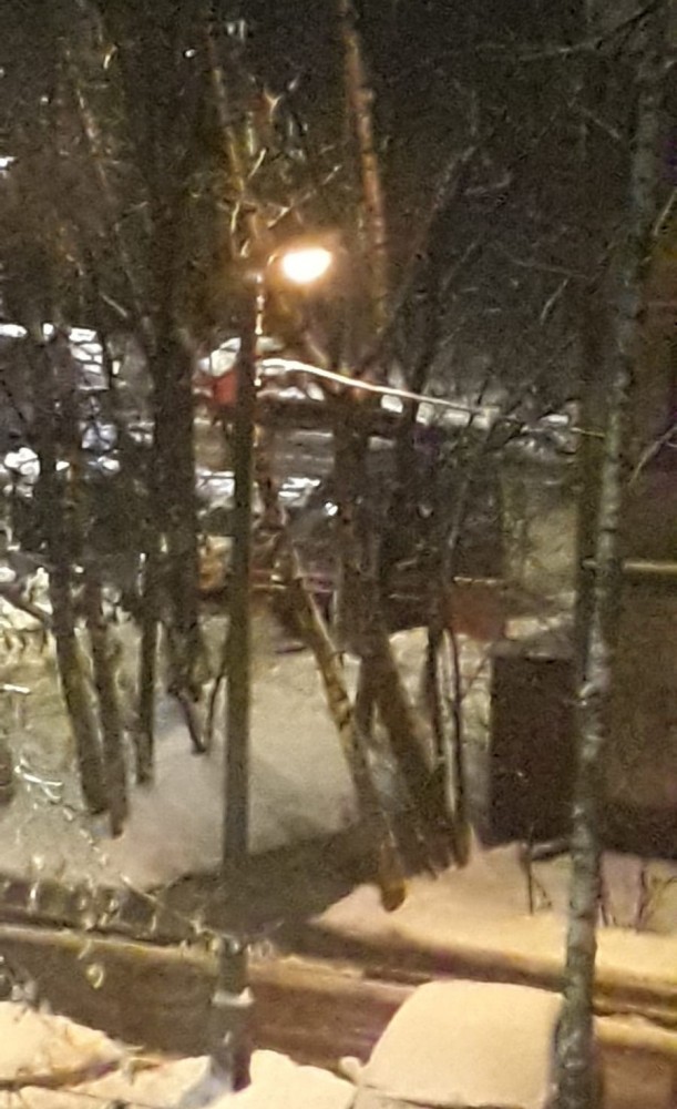 Фабрика Кривых Зеркал и пажи Пыжова (Переговоры с террористами)