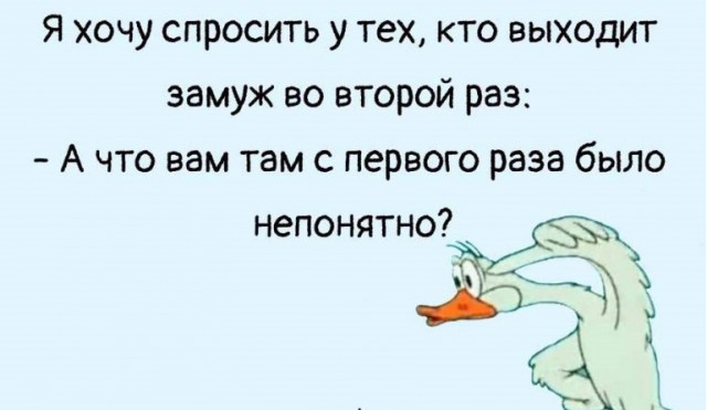 Чуток картинок 18.12.21